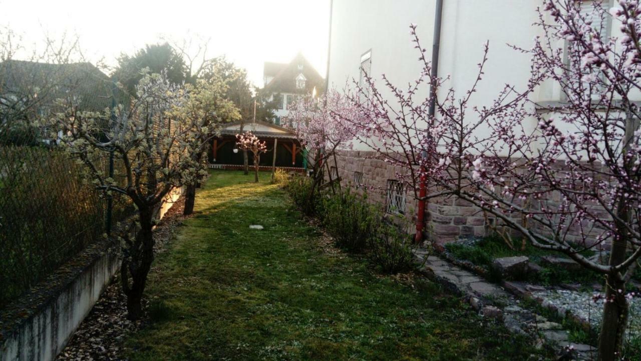 קולמר Gite "La Baloise" מראה חיצוני תמונה